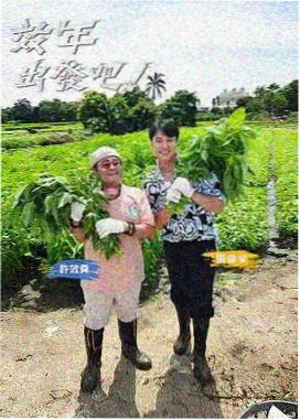奔跑吧 青柠影院在线观看